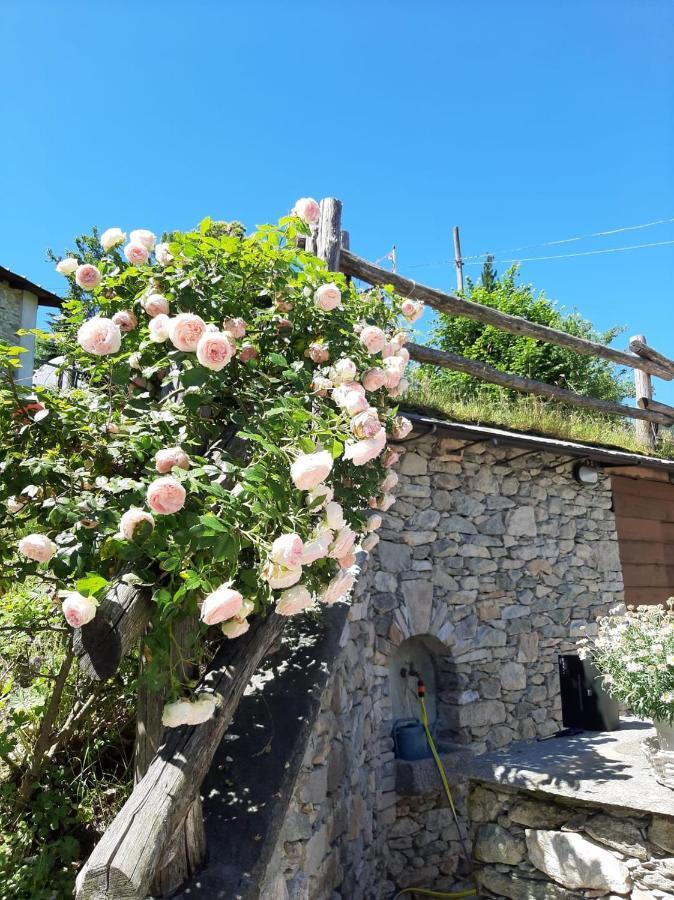 Affittacamere La Lea Roccaforte Mondovì Exterior foto